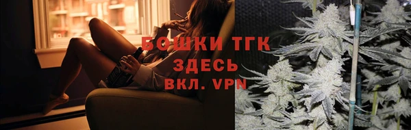 молекула духа Кулебаки