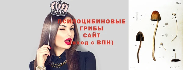 прущие крисы Горняк
