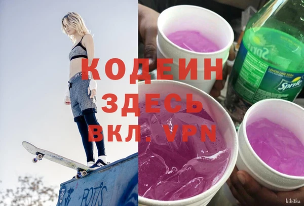 прущие крисы Горняк