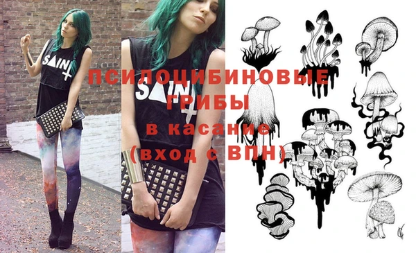 прущие крисы Горняк