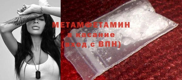 прущие крисы Горняк